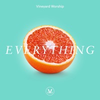 Everything (feat. Liam Bernhard) - Single - Vineyard Worship