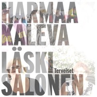 Terveiset - Single - Harmaa Kaleva & Läski Salonen