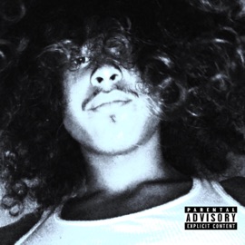 High on Hypocrisy bern