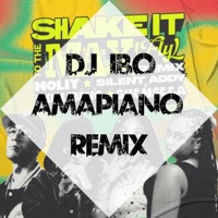 Dj IBO - Shake It To The Max Amapiano album artwork