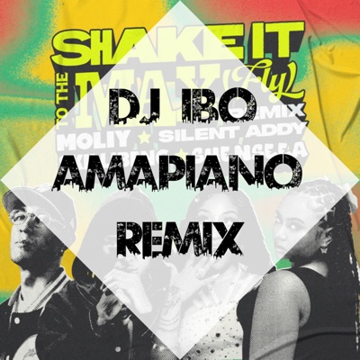 Shake It To The Max Amapiano
