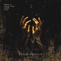 Hands - Single - David Rausch