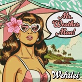 Mr. Weatherman artwork