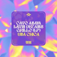 Una Chica - Single - Cato Anaya, Latin Dreams & GRILLO LP