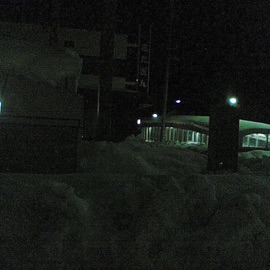 доверять tree14s & zeekayo