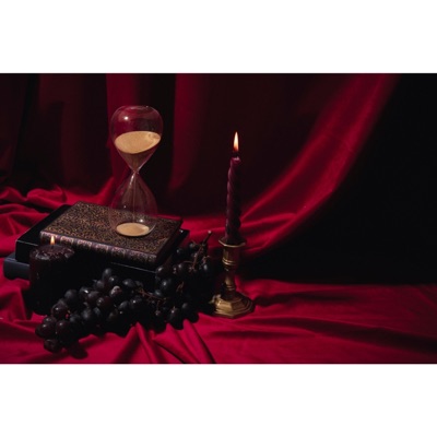 Black Animal - Viva el rey