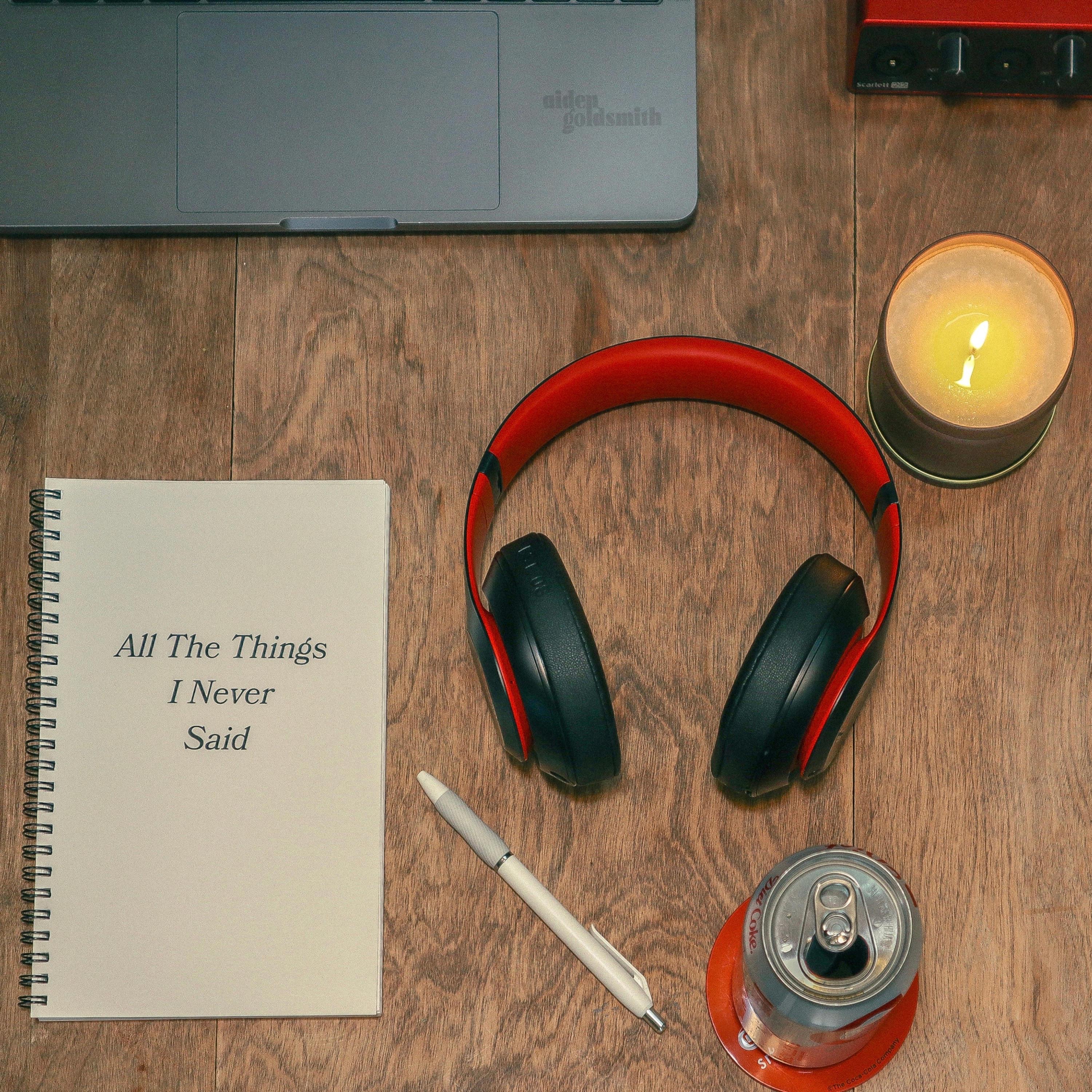 All the Things I Never Said