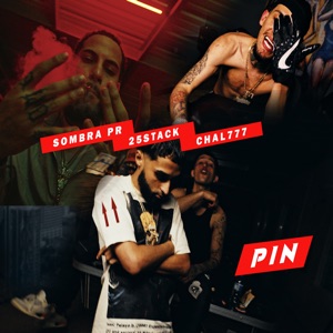 Pin