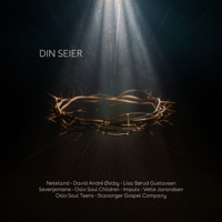 Din Seier (feat. David André Østby, Stavanger Gospel Company, Vetle Jarandsen, Impuls, Oslo Soul Children & Oslo Soul Teens) - Single - Seven-Jentene, Neteland & Lisa Børud