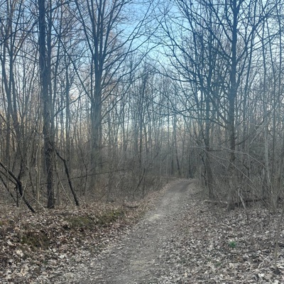 Knot Top (feat. Vandothraxxz) - Single