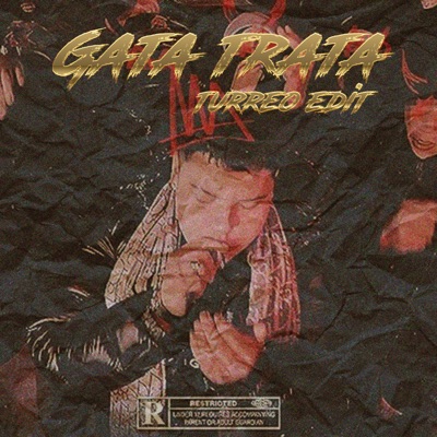 Gata Trata (Turreo Edit) - Single
