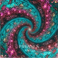 Anlamı Ne (Special Version) - Single - Prenses