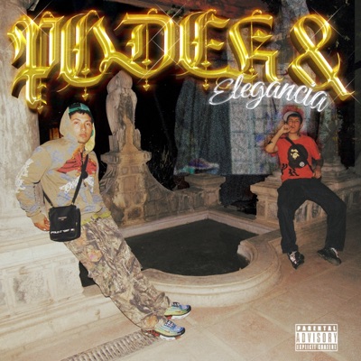 Poder & Elegancia - Single