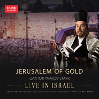 Jerusalem of Gold - ירושלים של זהב (feat. Shulem & Yitzchak Meir Helfgot) [Live] - Single - Yaakov Stark