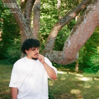 Wondering - Single - justicexavier