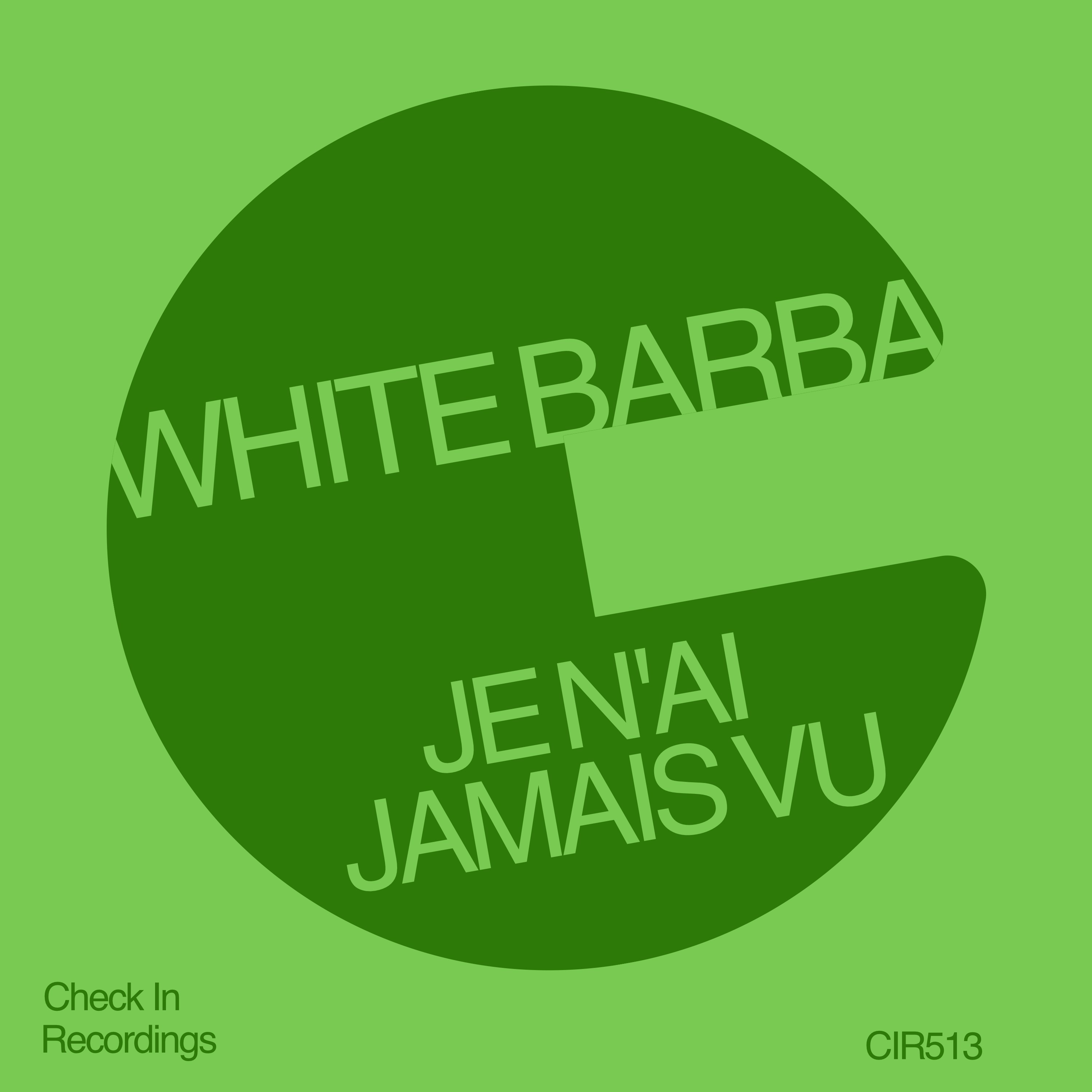Je N'Ai Jamais Vu - Single
