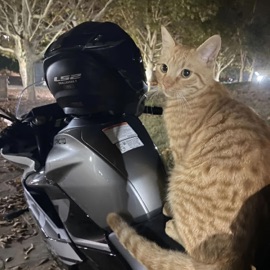 YOUR ADDICTION ang3l