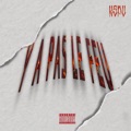 Y A PAS LE FEU by Frenezy