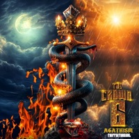 Peakaboom - Single - TrippCityRoyal