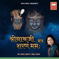 Shrinathji Sharanam Mamh - EP - Dr. Dipali Bhatt