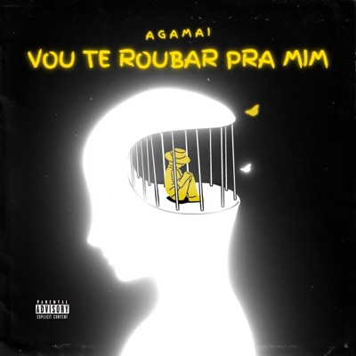 Vou Te Roubar Pra Mim - Single