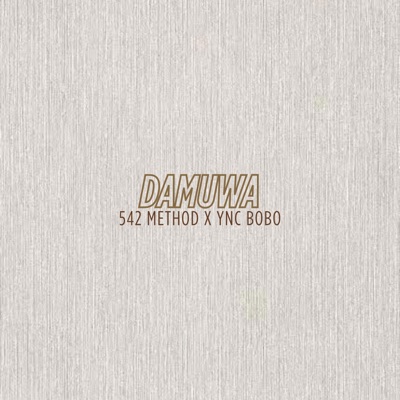 DAMUWA (feat. Ync bobo) - Single