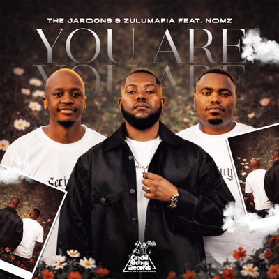 You Are (feat. Golden Lady) - Single