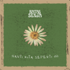 Batas Senja - Nanti Kita Seperti Ini artwork