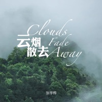 云烟散去 - Single - 张宇桦