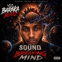 The Sound Of A Breaking Mind - Baraka Beatz
