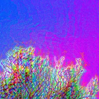 136 (EE) - Single - Sunshine Music