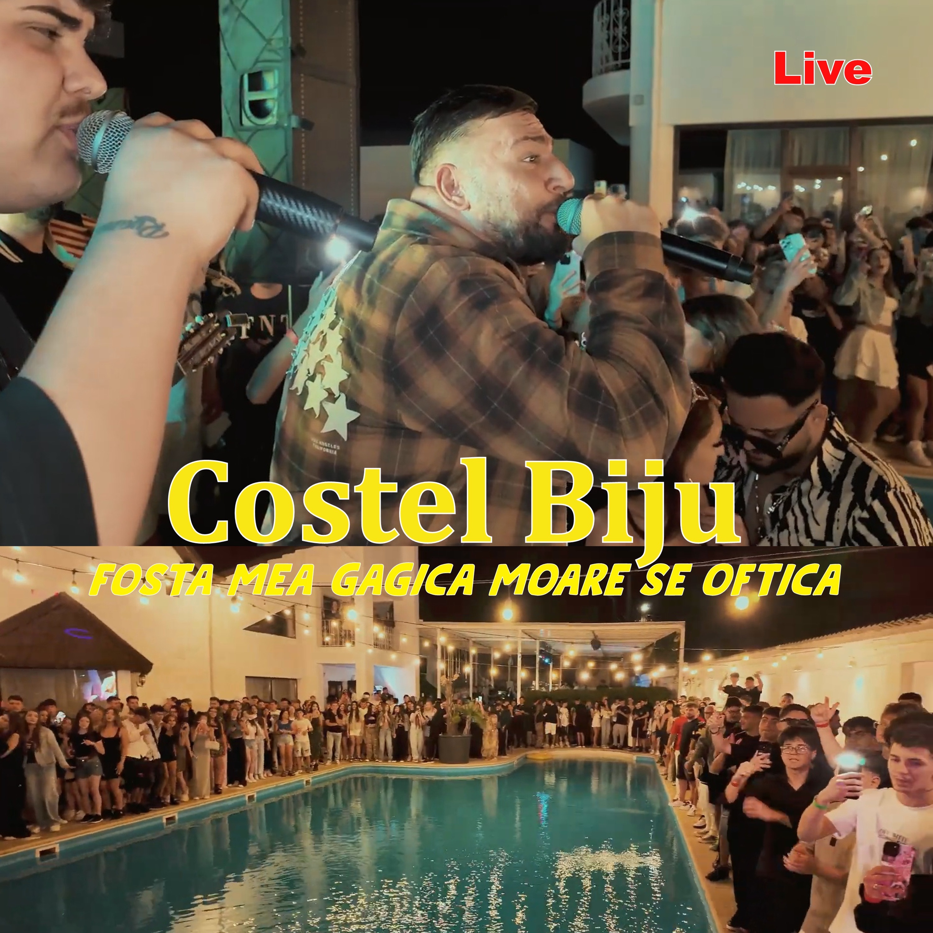 Fosta mea gagica moare se oftica (Live) - Single