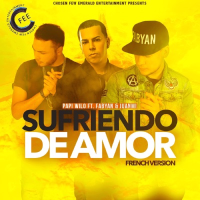 Sufriendo de Amor (French Remix) [feat. FABYAN & Juanmih] - Single