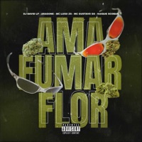 Ama Fumar Flor - Single - Mc Gustavo Gs, DJ David LP, ARAGONE, KAIQUE SCOBAR & MC LUIGI ZS