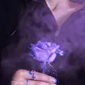 die 4 u