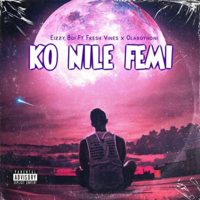 KO NILE FEMI - Single