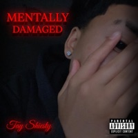 Mentally Damaged - Single - Tay Shiesty