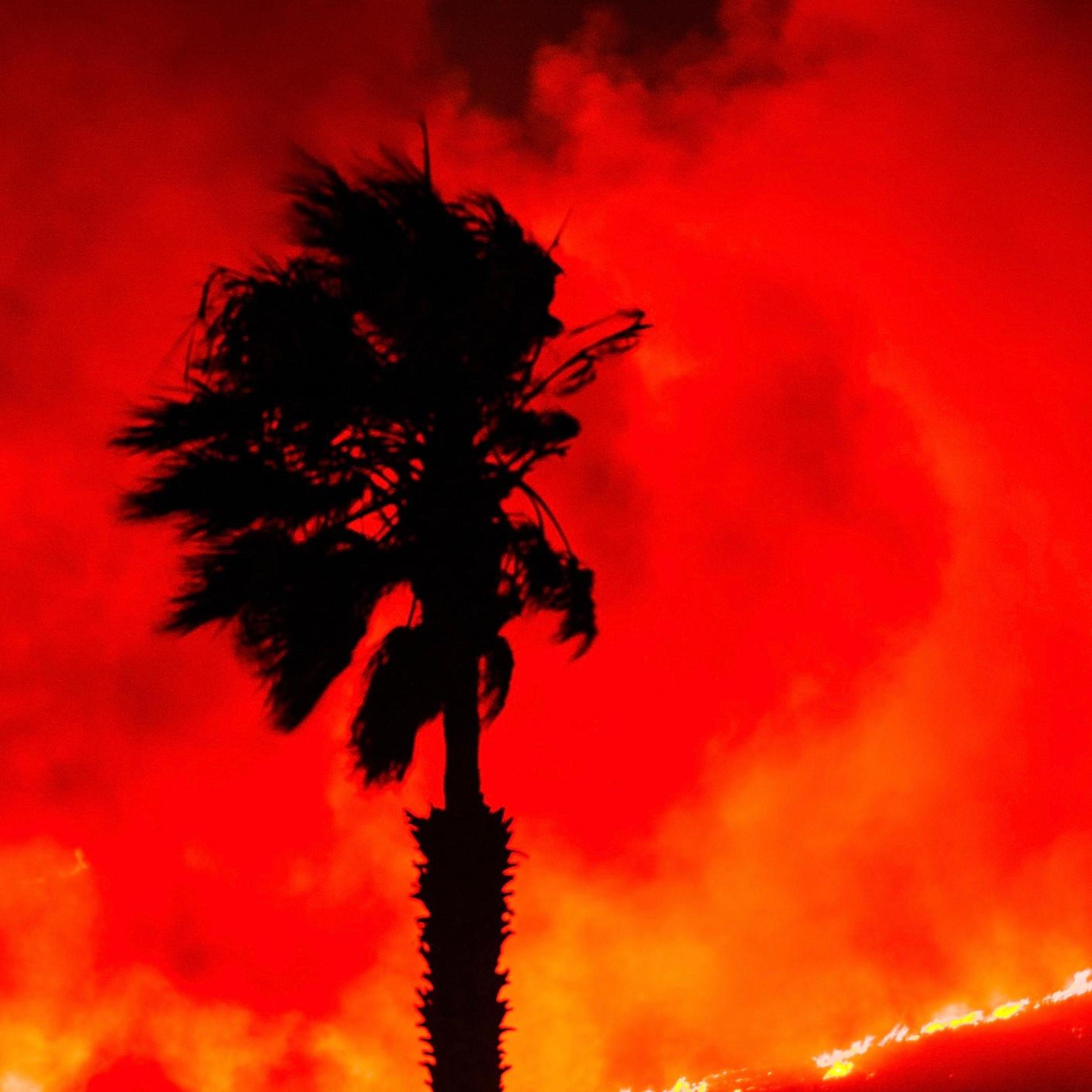 Perpetual Misery - Single