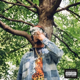 Expensive Ladders (feat. Raz Fresco) Vic Spencer