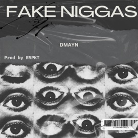 Fake N****s Dmayn