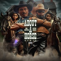 About A Horse (feat. Jeter Jones) [REMIX] - Single - Mr. Mister