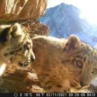 glaciers - Single - downsouth.