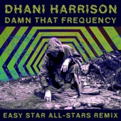 Damn That Frequency (Easy Star All-Stars Remix) artwork