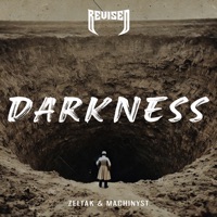 Darkness - Single - Zeltak & MACHINYST