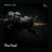 The Fool (Radio Edit)