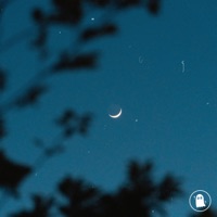 Fading - Single - mindfulsky. & Chill Denis