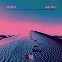 This Is Goodbye - Single - S.P.Y, Alibi & flowanastasia