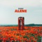 Alene artwork