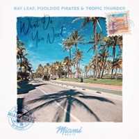 What Do You Need - Single - Bay Leaf, Poolside Pirates & Tropic Thunder