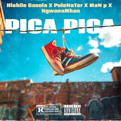 Pica Pica (Vocal mix) (feat. PuleNaTor, MaN p & NgwanaMhan) - Single